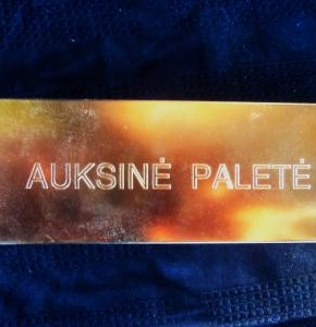 2009 * AUKSINĖ PALĖTĖ * NAMAS DOMEIKAVOJE