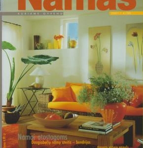 2001 * NAMAS NR.4 (33) * GELTONOJI VILA PALANGOJE 