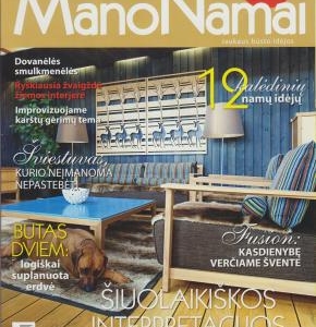 2011 * MANO  NAMAI NR.12(209) * NAMAS AUKŠTAITIJOJE 